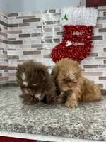 processed/dea22e41-88bd-44bc-8906-abe0cdf4307a/listing/483fe1f1-334f-42fc-a1b7-af8f30974482/ba6010ab-9161-42a1-a3b0-5f8d9b827806