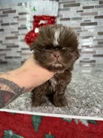 processed/dea22e41-88bd-44bc-8906-abe0cdf4307a/listing/483fe1f1-334f-42fc-a1b7-af8f30974482/c82915b5-d98a-4377-8a82-6d0a58d7ece4