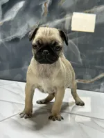 processed/dea22e41-88bd-44bc-8906-abe0cdf4307a/listing/8b3727da-287e-48c6-8f9d-5bd2c2e587ff/09b922fc-b193-4916-9476-28517705a918