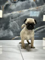 processed/dea22e41-88bd-44bc-8906-abe0cdf4307a/listing/8b3727da-287e-48c6-8f9d-5bd2c2e587ff/18d65ecd-24a2-4d04-a1cc-4e279560a7da