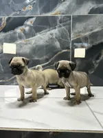 processed/dea22e41-88bd-44bc-8906-abe0cdf4307a/listing/8b3727da-287e-48c6-8f9d-5bd2c2e587ff/439402e2-b18c-440f-a45d-34b05e62d502