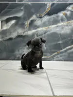 processed/dea22e41-88bd-44bc-8906-abe0cdf4307a/listing/9e6627cc-e3ad-49f5-a37e-7a8effc41535/1a88a8a6-cfdd-4f12-a754-1081f81b6fa6