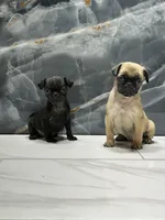 processed/dea22e41-88bd-44bc-8906-abe0cdf4307a/listing/9e6627cc-e3ad-49f5-a37e-7a8effc41535/5e33438f-6245-41b3-9eed-88cc7dc34d28