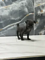 processed/dea22e41-88bd-44bc-8906-abe0cdf4307a/listing/9e6627cc-e3ad-49f5-a37e-7a8effc41535/69a4e05c-0e1d-4855-838c-53be79a45b9e