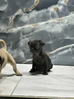 processed/dea22e41-88bd-44bc-8906-abe0cdf4307a/listing/9e6627cc-e3ad-49f5-a37e-7a8effc41535/bde4918a-5f0a-4f06-9e01-58f2332fa4f6