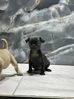 processed/dea22e41-88bd-44bc-8906-abe0cdf4307a/listing/9e6627cc-e3ad-49f5-a37e-7a8effc41535/e1cb1401-cbd4-49f3-9207-35c98e213f75