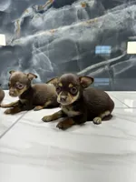 processed/dea22e41-88bd-44bc-8906-abe0cdf4307a/listing/a476634a-dc5e-4a5c-88f1-0ee3bf4466a2/70763953-5a4e-4bec-b897-aeadae7a00c5