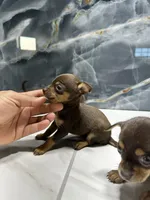 processed/dea22e41-88bd-44bc-8906-abe0cdf4307a/listing/a476634a-dc5e-4a5c-88f1-0ee3bf4466a2/c326a210-fc50-4122-b5a6-a8d8eb385a6f