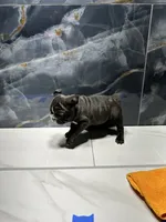 processed/dea22e41-88bd-44bc-8906-abe0cdf4307a/listing/a68603b0-d049-4ef5-84bc-5ba775a50b1c/e73169b9-f3da-4b81-81e3-38e340dbb917