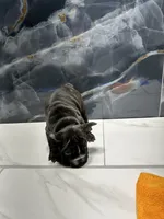 processed/dea22e41-88bd-44bc-8906-abe0cdf4307a/listing/a68603b0-d049-4ef5-84bc-5ba775a50b1c/f16df0f7-33bf-447f-b0b1-5e876cabaccc