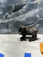 processed/dea22e41-88bd-44bc-8906-abe0cdf4307a/listing/a68603b0-d049-4ef5-84bc-5ba775a50b1c/f5ec3d2a-f695-4e8d-a519-a0306d332aa8