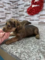 processed/dea22e41-88bd-44bc-8906-abe0cdf4307a/listing/d2ee6e61-8442-4d8c-bc1e-0a7e8c7b349d/288579cc-41bf-451c-ba22-7a3c07e9a2e5