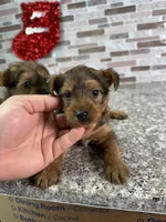 processed/dea22e41-88bd-44bc-8906-abe0cdf4307a/listing/d2ee6e61-8442-4d8c-bc1e-0a7e8c7b349d/29bbc55a-b5b4-482a-9c3c-55bd0f715821