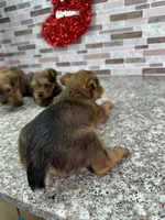 processed/dea22e41-88bd-44bc-8906-abe0cdf4307a/listing/d2ee6e61-8442-4d8c-bc1e-0a7e8c7b349d/b985c707-c541-4ee2-91f6-cb6e20db121e