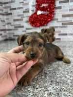 processed/dea22e41-88bd-44bc-8906-abe0cdf4307a/listing/d2ee6e61-8442-4d8c-bc1e-0a7e8c7b349d/c3be9aca-c093-43cf-a26d-7abf57b183c2