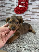 processed/dea22e41-88bd-44bc-8906-abe0cdf4307a/listing/d2ee6e61-8442-4d8c-bc1e-0a7e8c7b349d/f52e6c86-b7d4-4f43-a548-1abde49c0b59