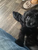 processed/deaed280-cd50-4445-abd0-68a148d132c6/listing/af760db1-a45b-4732-9e70-77554088d0b0/0d7923e8-b7f7-4269-87f9-f11fa75a6e2e