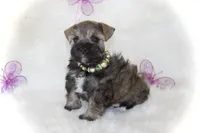 processed/deb6e56b-7a7d-4dae-83cb-b7136c2b993e/listing/8079cb95-cf11-42cc-b67f-c82b473fdc39/1417dcd8-b540-489e-9179-ef28a99bbd33