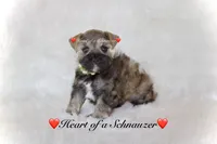 processed/deb6e56b-7a7d-4dae-83cb-b7136c2b993e/listing/8079cb95-cf11-42cc-b67f-c82b473fdc39/26281776-4264-4adb-97c7-27c83b585189