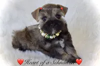 processed/deb6e56b-7a7d-4dae-83cb-b7136c2b993e/listing/8079cb95-cf11-42cc-b67f-c82b473fdc39/40f4c0f4-6b0b-432b-9c19-b0f44f81756f