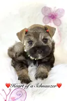 processed/deb6e56b-7a7d-4dae-83cb-b7136c2b993e/listing/8079cb95-cf11-42cc-b67f-c82b473fdc39/79f162e7-6de6-43c9-9150-d1546f3b064b