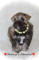 processed/deb6e56b-7a7d-4dae-83cb-b7136c2b993e/listing/8079cb95-cf11-42cc-b67f-c82b473fdc39/dd100130-2cbc-4a90-ad4c-f251458d7fbe