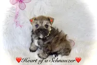 processed/deb6e56b-7a7d-4dae-83cb-b7136c2b993e/listing/8079cb95-cf11-42cc-b67f-c82b473fdc39/e7c0f282-d6d9-41c5-8b27-746b8ce84000