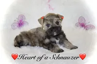 processed/deb6e56b-7a7d-4dae-83cb-b7136c2b993e/listing/8079cb95-cf11-42cc-b67f-c82b473fdc39/ecb94cc8-b0e7-4721-bdf7-db2c35fb0458