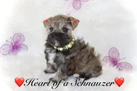 processed/deb6e56b-7a7d-4dae-83cb-b7136c2b993e/listing/8079cb95-cf11-42cc-b67f-c82b473fdc39/f202f0c2-2705-4360-8b3e-65eade900239