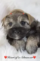 processed/deb6e56b-7a7d-4dae-83cb-b7136c2b993e/listing/8079cb95-cf11-42cc-b67f-c82b473fdc39/f3e7c6e4-e06e-40ce-ab0f-7632244c2cc4