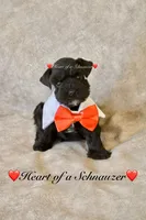 processed/deb6e56b-7a7d-4dae-83cb-b7136c2b993e/listing/84445da2-be0a-421f-a088-bf92af57e108/8b1e8d20-4952-4a99-a1b8-d15cd4cc6cd6