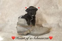 processed/deb6e56b-7a7d-4dae-83cb-b7136c2b993e/listing/84445da2-be0a-421f-a088-bf92af57e108/ba7d016c-ebb2-42a8-89fd-ef066a504776