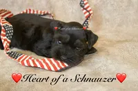 processed/deb6e56b-7a7d-4dae-83cb-b7136c2b993e/listing/84445da2-be0a-421f-a088-bf92af57e108/c85e7ebb-4358-4855-b3ed-649b7c663b72