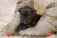 processed/deb6e56b-7a7d-4dae-83cb-b7136c2b993e/listing/84445da2-be0a-421f-a088-bf92af57e108/d12be2fe-e2b0-4ca5-b4fb-37e64804163d