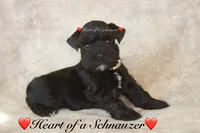 processed/deb6e56b-7a7d-4dae-83cb-b7136c2b993e/listing/84445da2-be0a-421f-a088-bf92af57e108/ec62932c-9796-4542-babd-09a531bc9180