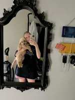 Teddy, a male Miniature Goldendoodle for sale in Suwanee, GA – 3 of 8