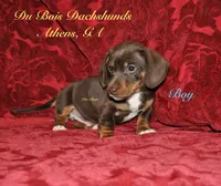 processed/dec3c208-5973-4bea-96b3-bb5f455c9d7e/listing/faa800b1-d370-45d0-a2a3-4fde9e8cb1ac/d82944fd-fc04-4904-b7b7-98f622d0aec5