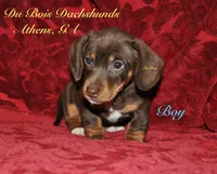 processed/dec3c208-5973-4bea-96b3-bb5f455c9d7e/listing/faa800b1-d370-45d0-a2a3-4fde9e8cb1ac/eda107fa-75fe-44b7-9ede-9cb221212507