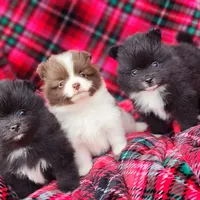 processed/dec8db00-f11a-48ce-a2fe-7420b1a5a040/facility/01c598fc-7c4b-4b8e-a9bc-0c1f28988746