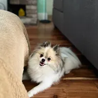 processed/dec8db00-f11a-48ce-a2fe-7420b1a5a040/facility/317b84a8-fa3e-492e-ad7f-030cca749ca9