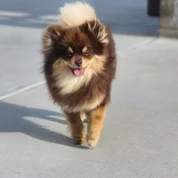 processed/dec8db00-f11a-48ce-a2fe-7420b1a5a040/facility/326a69bf-1adb-41f5-999b-33c112126c2d