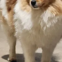 processed/dec8db00-f11a-48ce-a2fe-7420b1a5a040/facility/4f753c73-ead8-48a5-8e17-670dc23cffb9