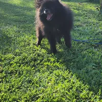 processed/dec8db00-f11a-48ce-a2fe-7420b1a5a040/facility/aeea6557-5cb7-4a93-b140-f1ee5b2fe9c0