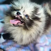 processed/dec8db00-f11a-48ce-a2fe-7420b1a5a040/facility/e25d14dd-0312-434f-904a-85c5ab53a6e3