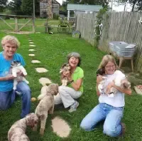 processed/deca9e76-a031-48cb-86be-3b394aadd62c/facility/f7c37d7f-e9a6-45f3-8079-9948943ab22f