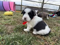 processed/deca9e76-a031-48cb-86be-3b394aadd62c/listing/23fe78f4-128f-412c-9fc4-5c7d4dbcae86/3f528131-4dfa-46c1-92f7-059717bcd2d6