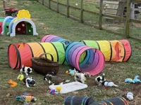 processed/deca9e76-a031-48cb-86be-3b394aadd62c/listing/23fe78f4-128f-412c-9fc4-5c7d4dbcae86/4e05a6ab-a153-4f45-8d6e-fa8a1963dc26