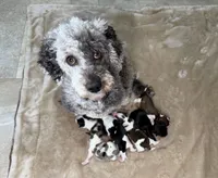 processed/deca9e76-a031-48cb-86be-3b394aadd62c/listing/23fe78f4-128f-412c-9fc4-5c7d4dbcae86/a7b3686c-4e0a-41a3-8232-89cad21b8c6f