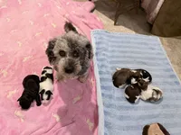 processed/deca9e76-a031-48cb-86be-3b394aadd62c/listing/23fe78f4-128f-412c-9fc4-5c7d4dbcae86/da27268d-b39b-44ba-a1b2-47d4d4bde3fe