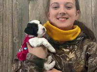 processed/deca9e76-a031-48cb-86be-3b394aadd62c/listing/23fe78f4-128f-412c-9fc4-5c7d4dbcae86/f65768e6-d533-4f88-88df-fc38dd0cb02e